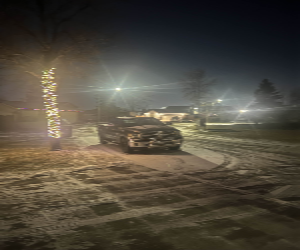 Same area as purple image, under yellow lighting